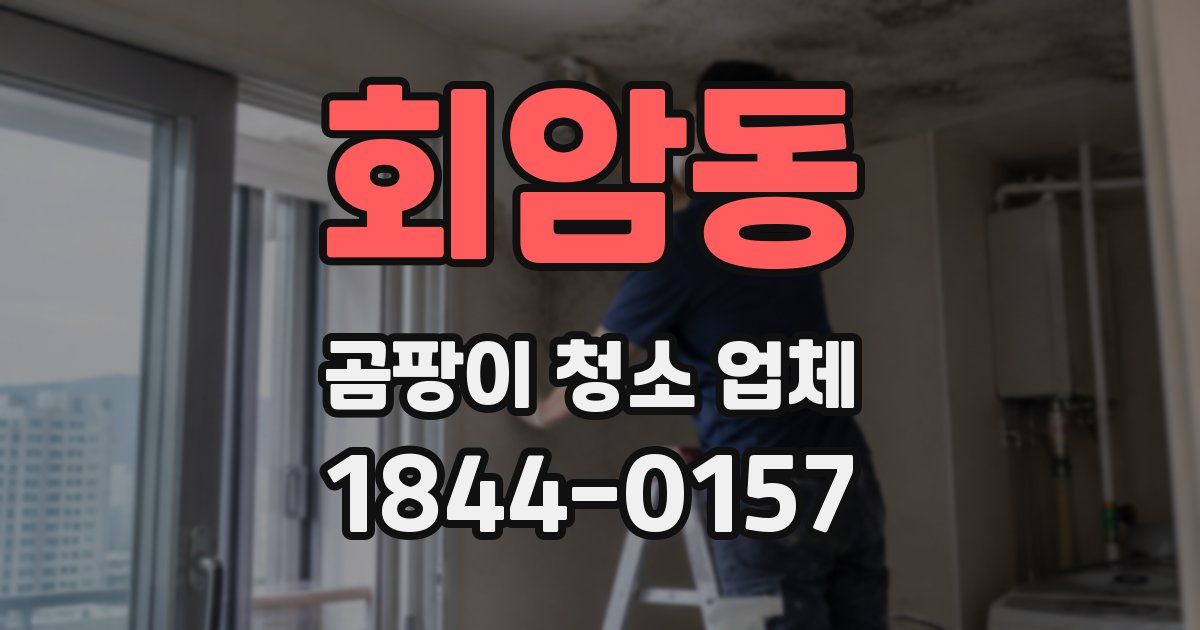 회암동 곰팡이 청소 업체