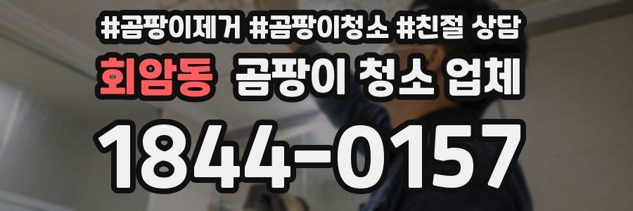 회암동 곰팡이 청소 업체