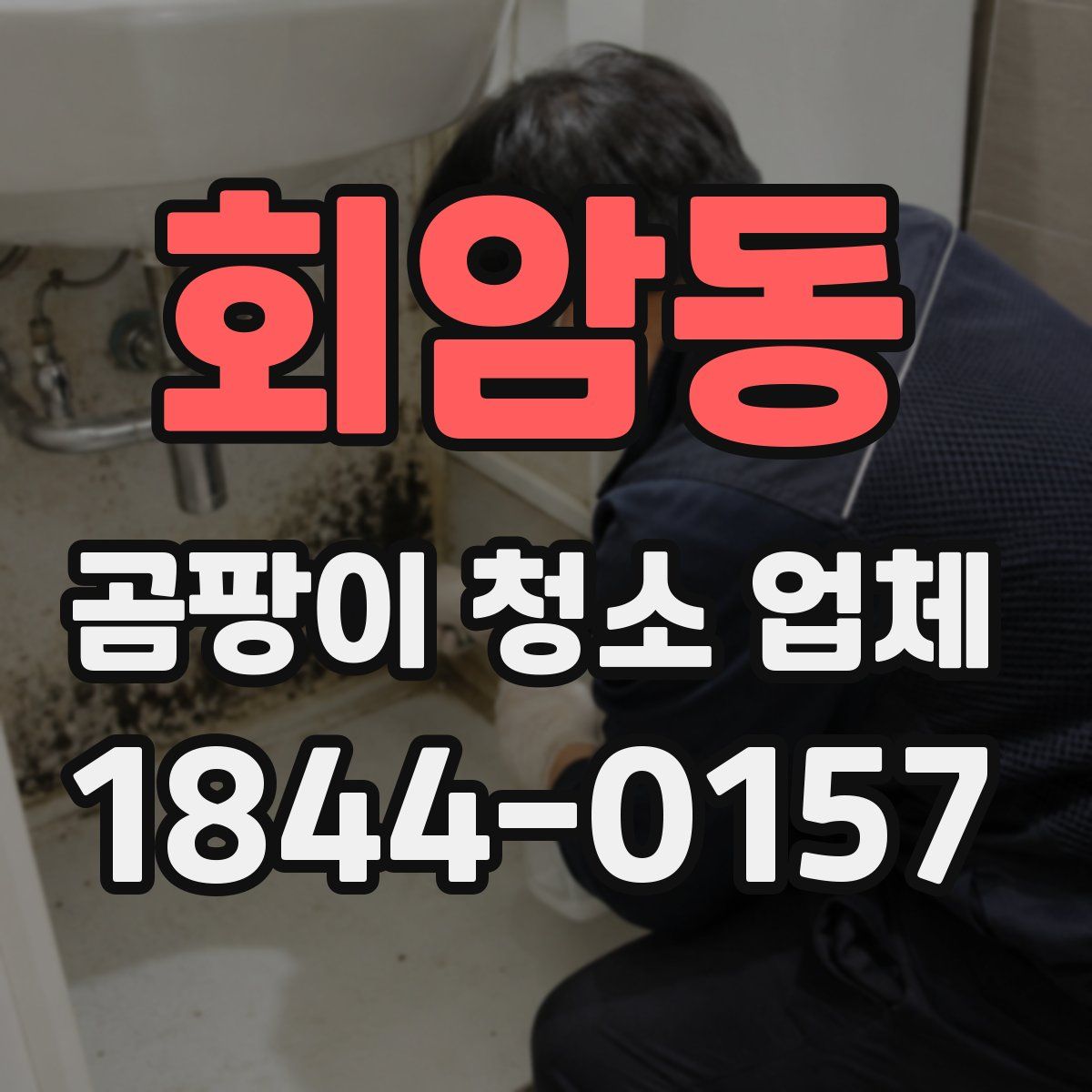 회암동 곰팡이 청소 업체