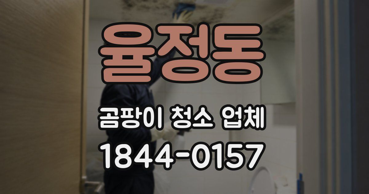 율정동 곰팡이 청소 업체