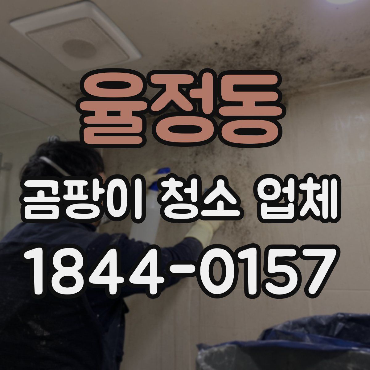 율정동 곰팡이 청소 업체