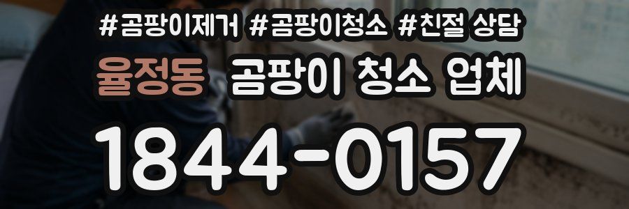 율정동 곰팡이 청소 업체