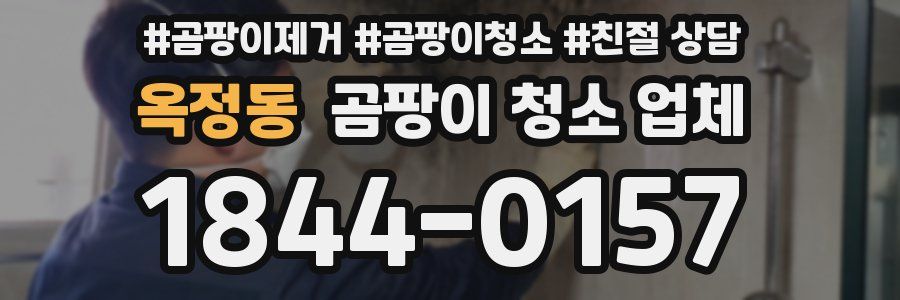 옥정동 곰팡이 청소 업체
