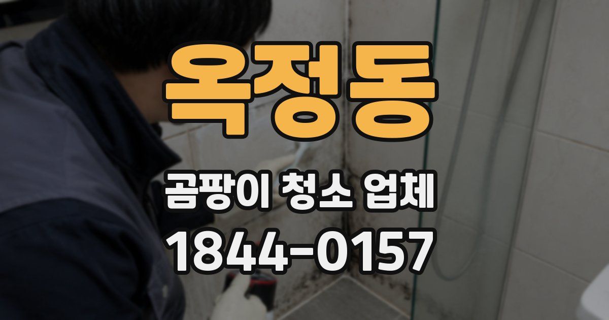 옥정동 곰팡이 청소 업체