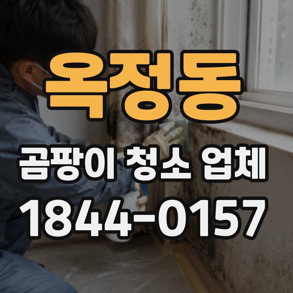 옥정동 곰팡이 청소 업체
