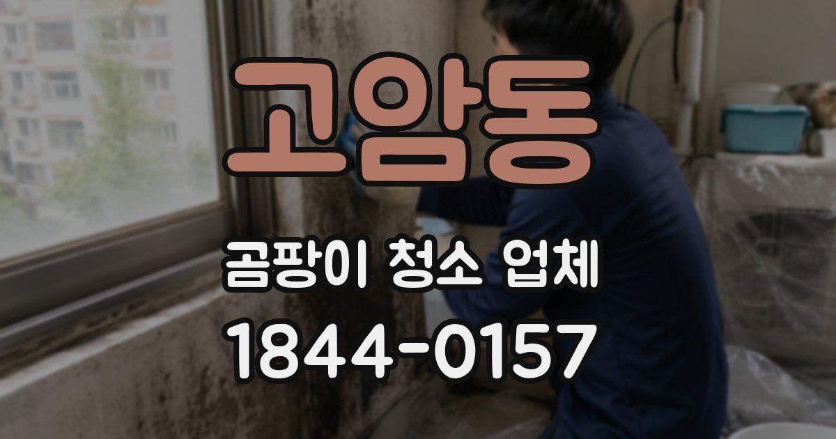 고암동 곰팡이 청소 업체