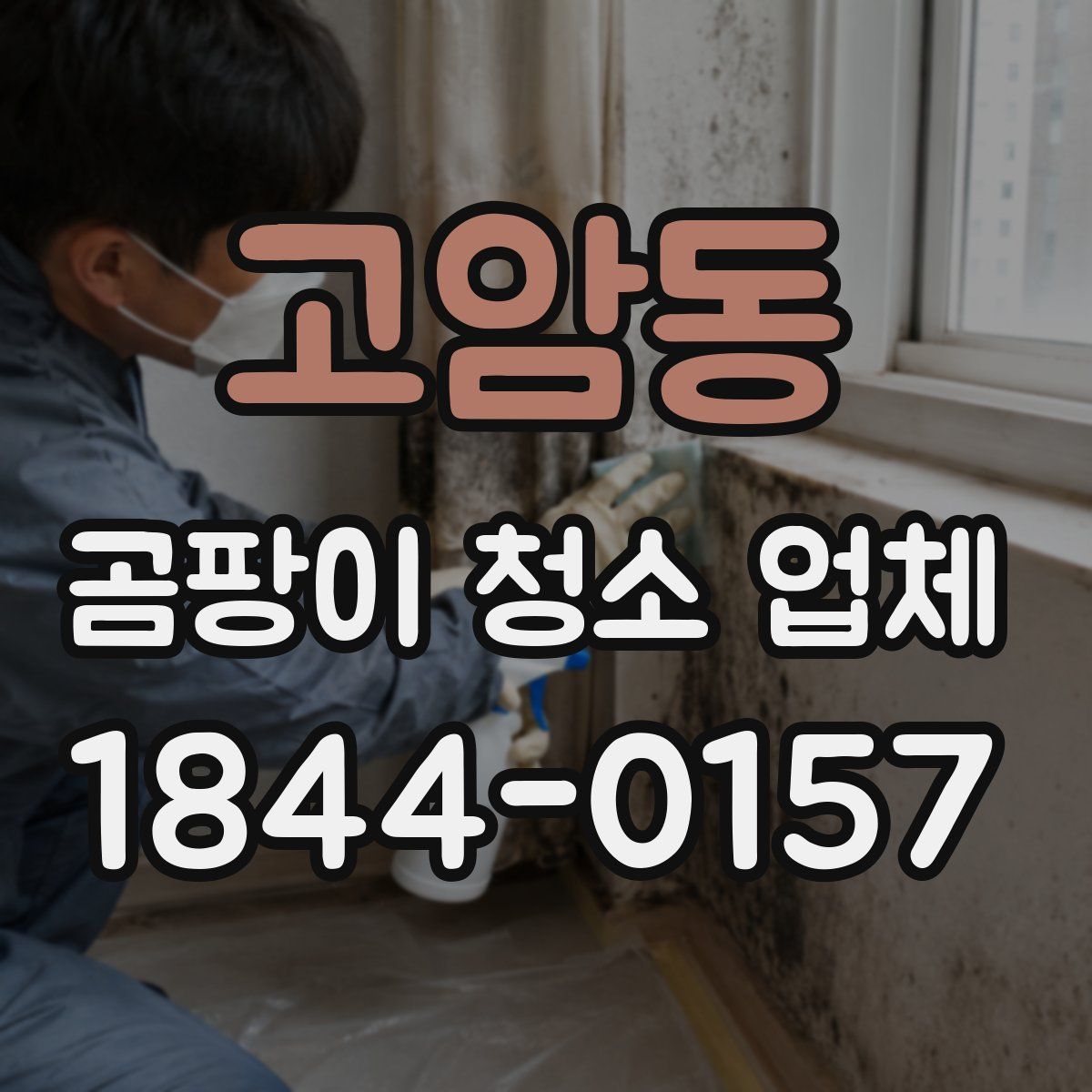 고암동 곰팡이 청소 업체