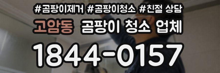 고암동 곰팡이 청소 업체