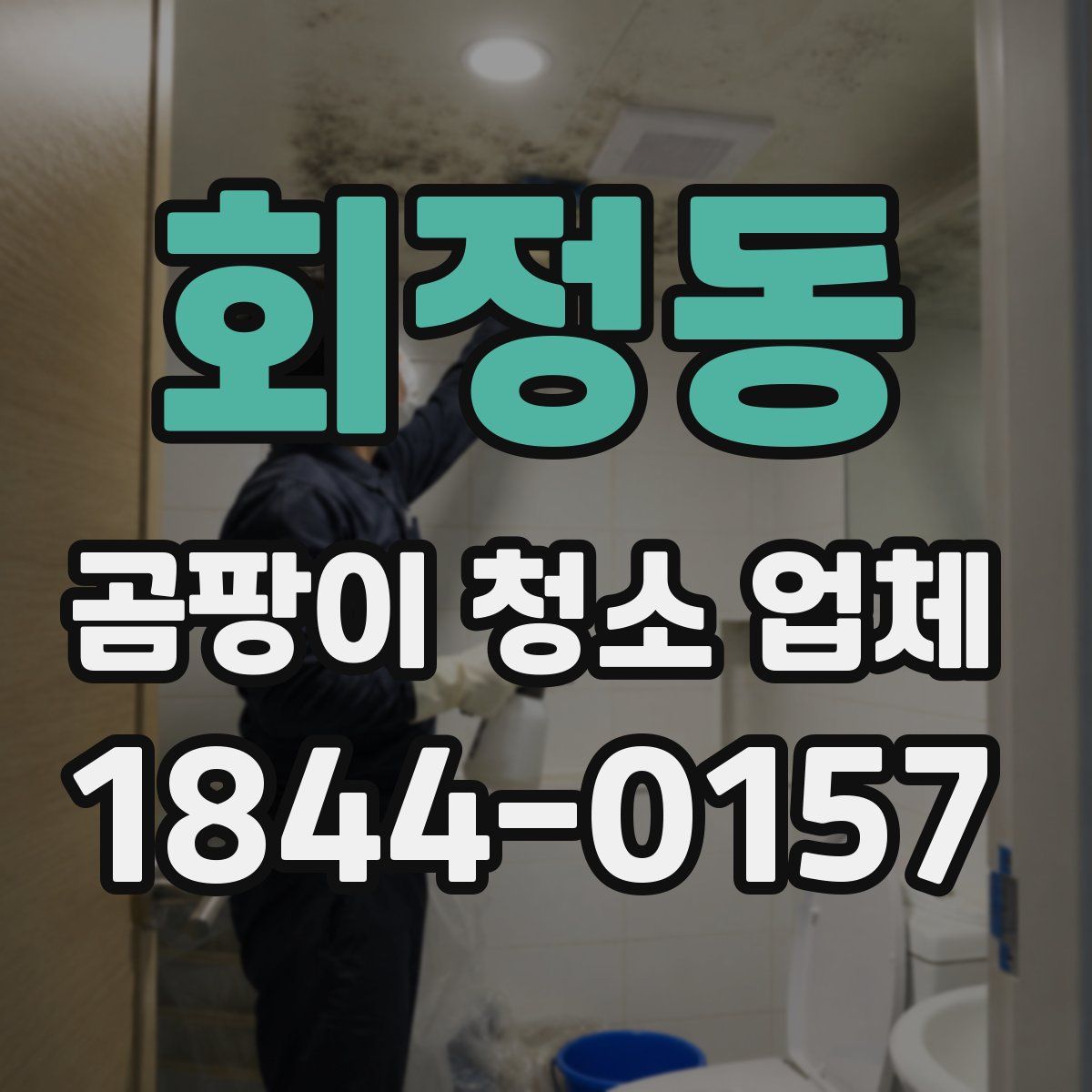 회정동 곰팡이 청소 업체