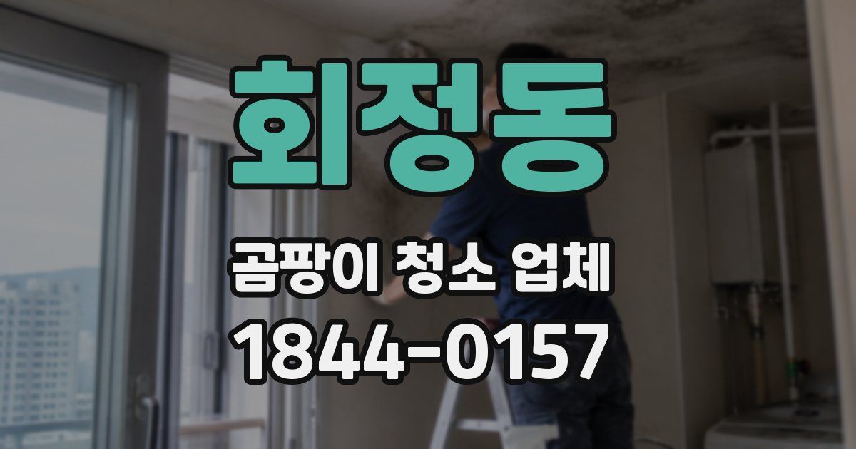 회정동 곰팡이 청소 업체