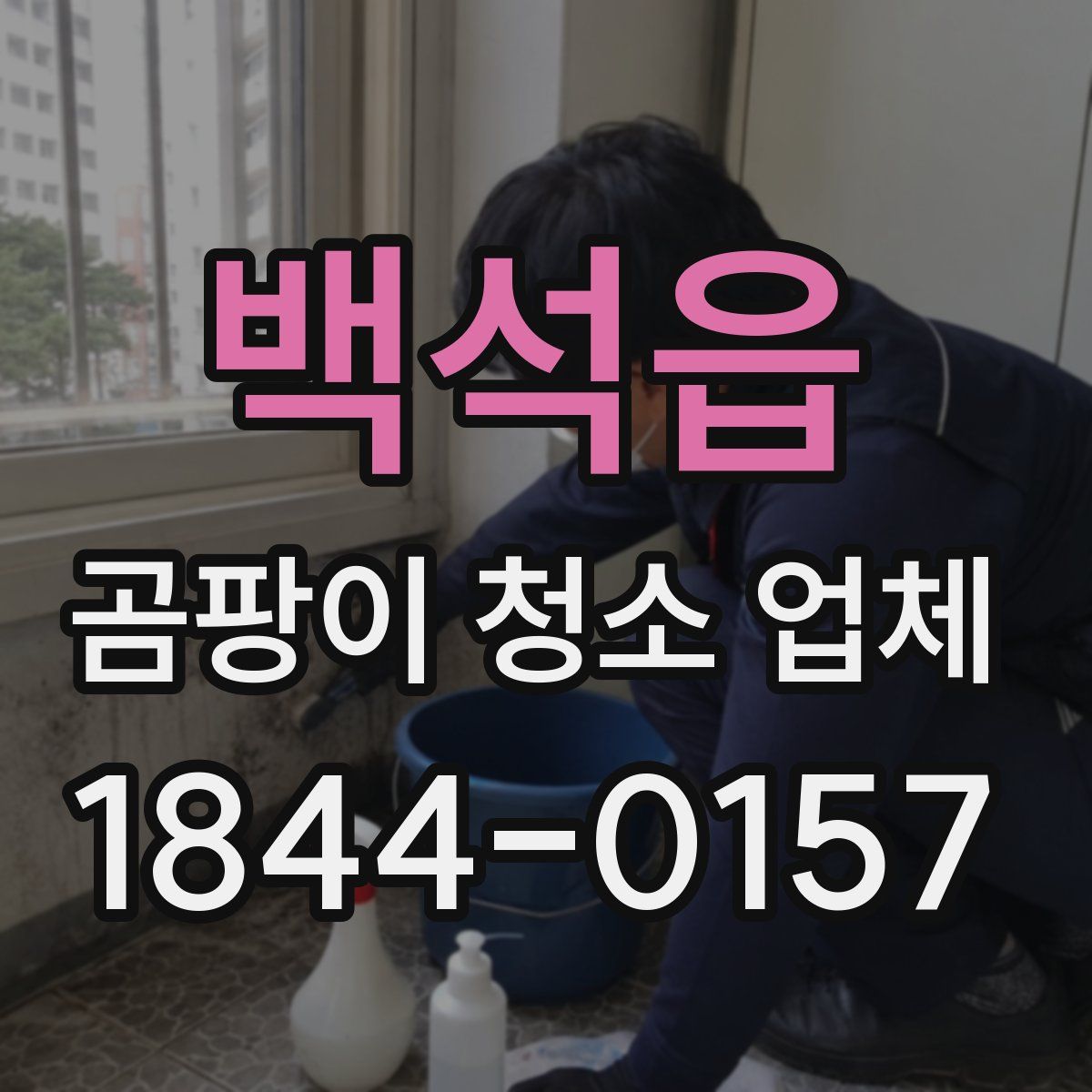 백석읍 곰팡이 청소 업체