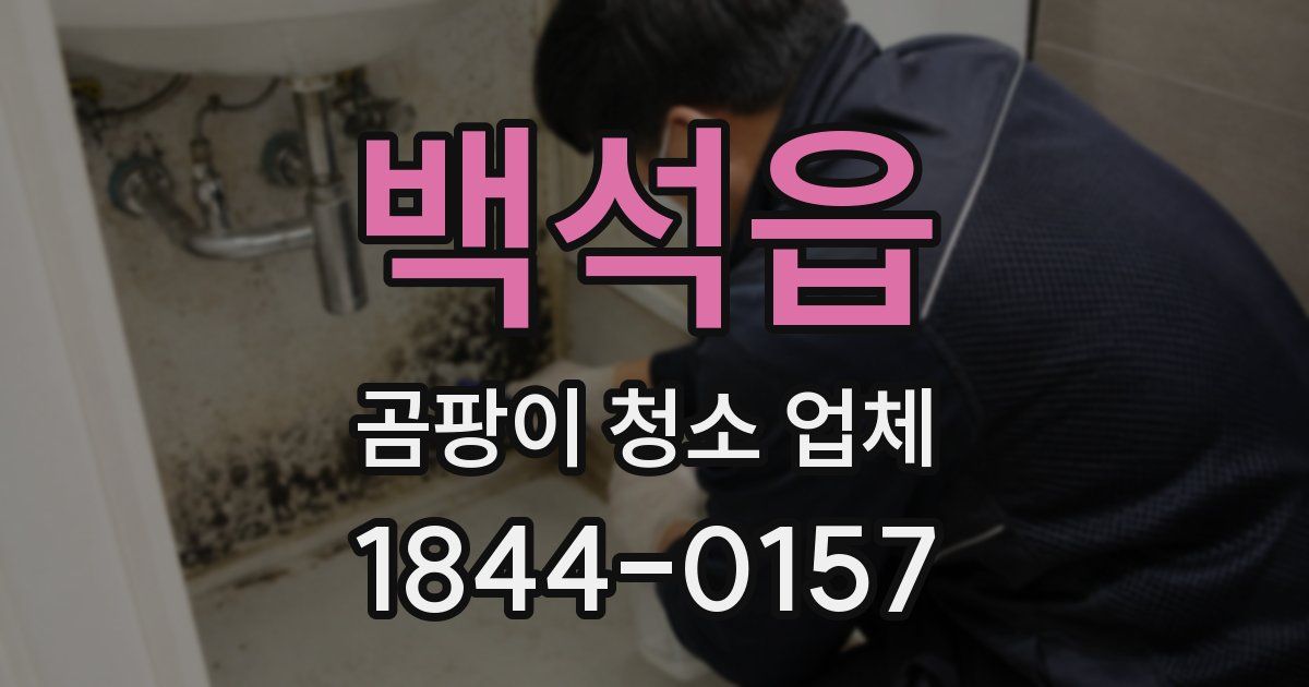 백석읍 곰팡이 청소 업체