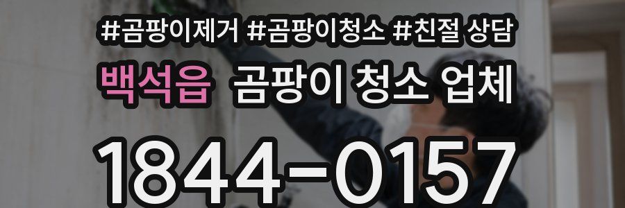 백석읍 곰팡이 청소 업체