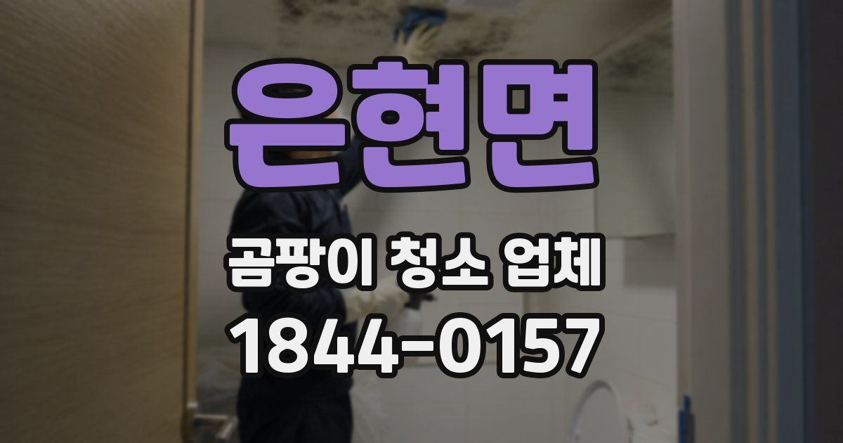 은현면 곰팡이 청소 업체