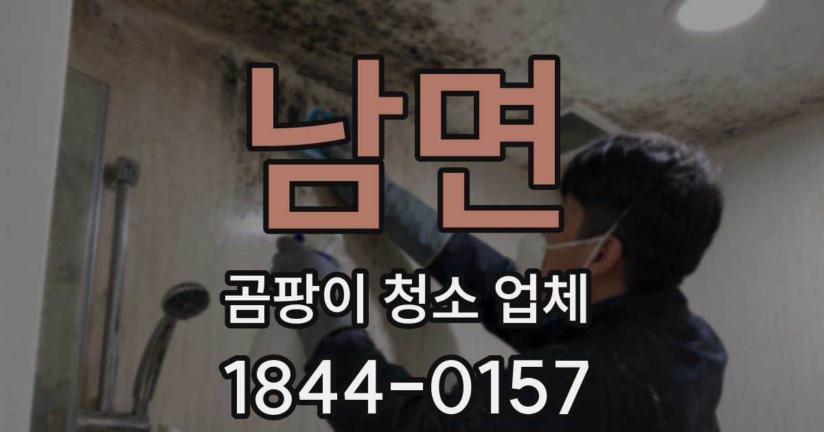 남면 곰팡이 청소 업체