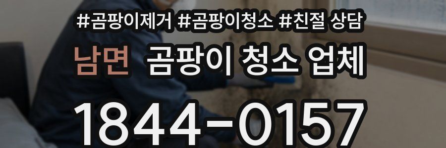 남면 곰팡이 청소 업체