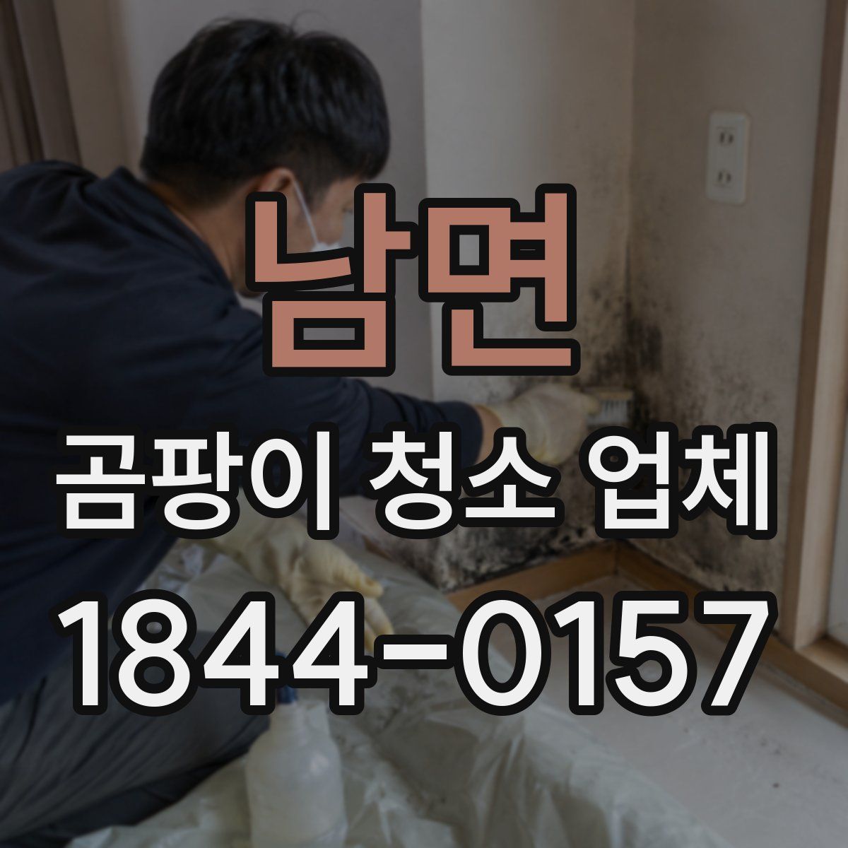 남면 곰팡이 청소 업체