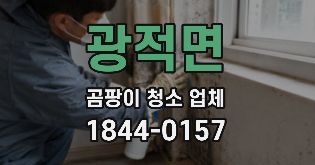 광적면 곰팡이 청소 업체