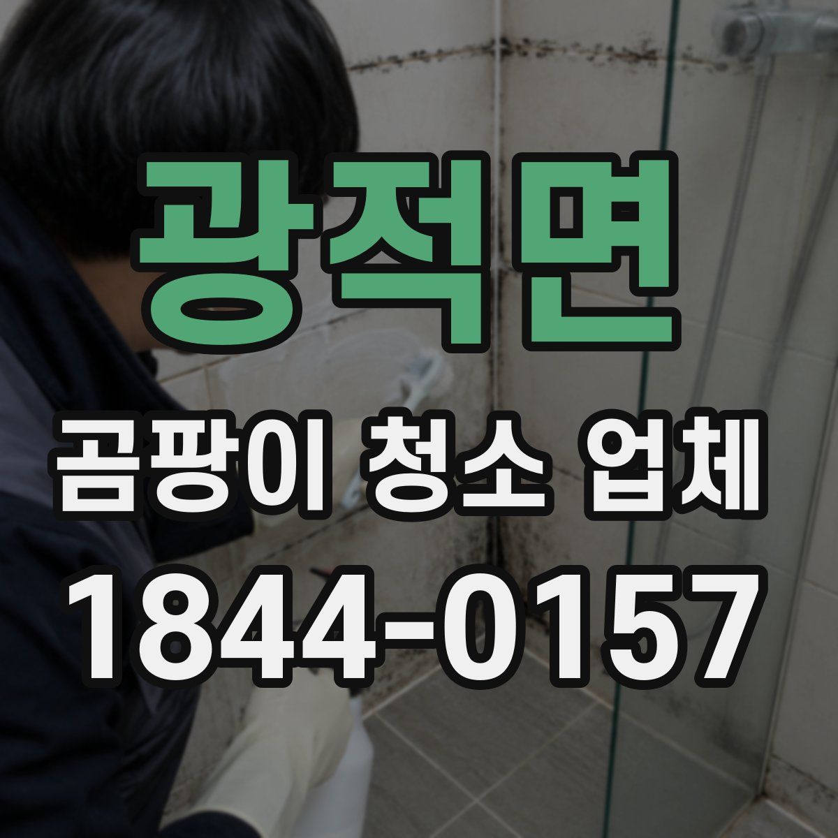광적면 곰팡이 청소 업체