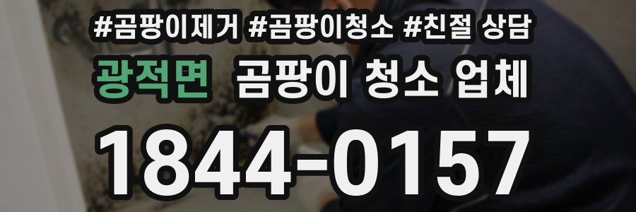 광적면 곰팡이 청소 업체