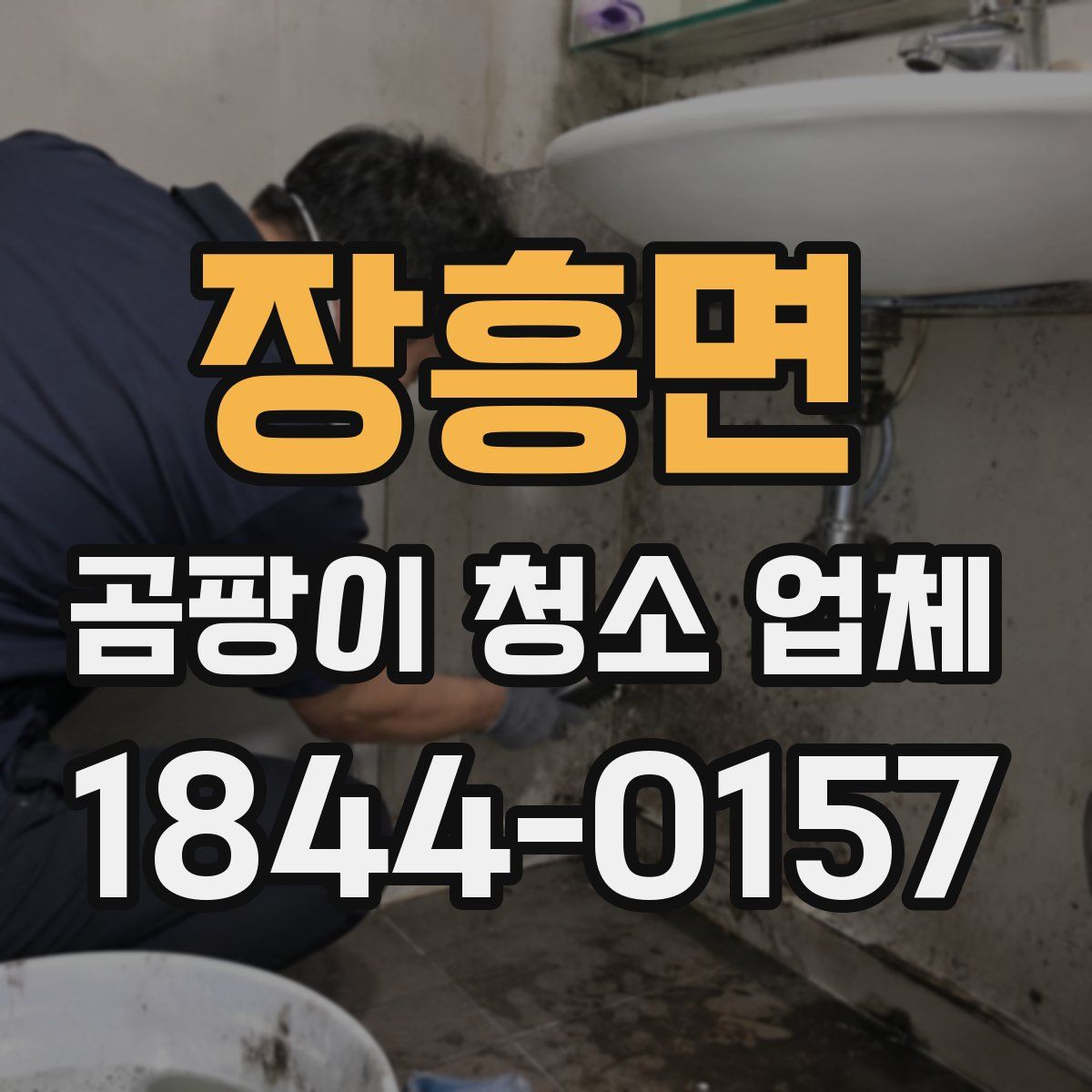 장흥면 곰팡이 청소 업체