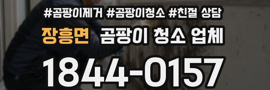 장흥면 곰팡이 청소 업체