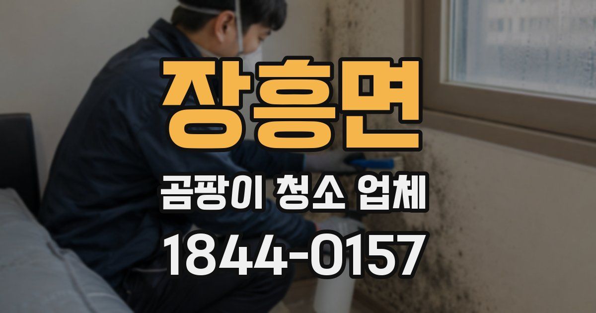 장흥면 곰팡이 청소 업체