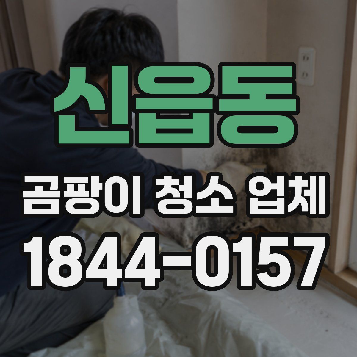 신읍동 곰팡이 청소 업체