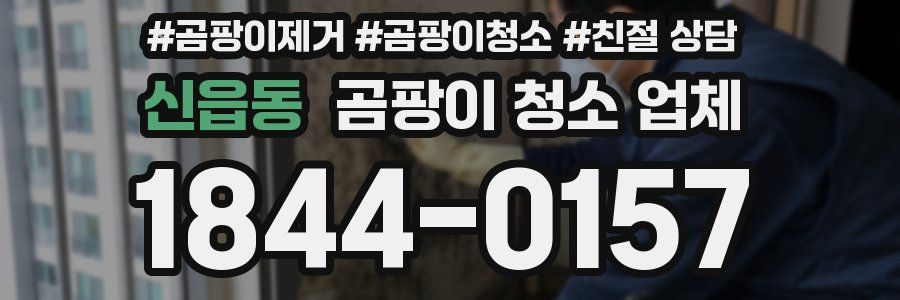 신읍동 곰팡이 청소 업체