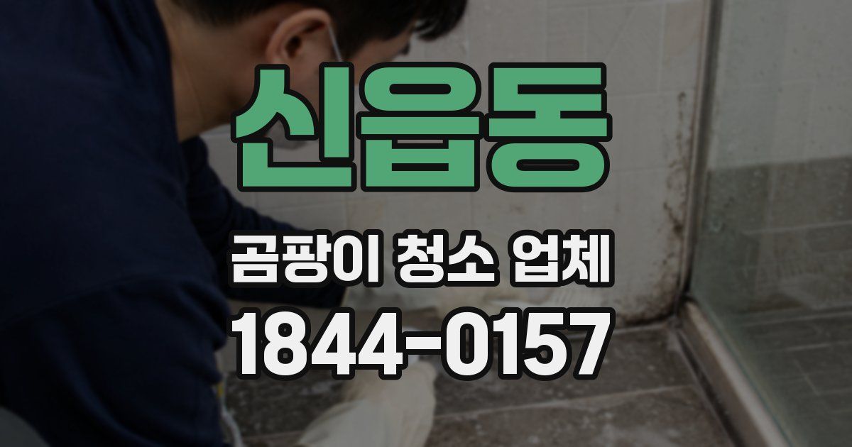 신읍동 곰팡이 청소 업체