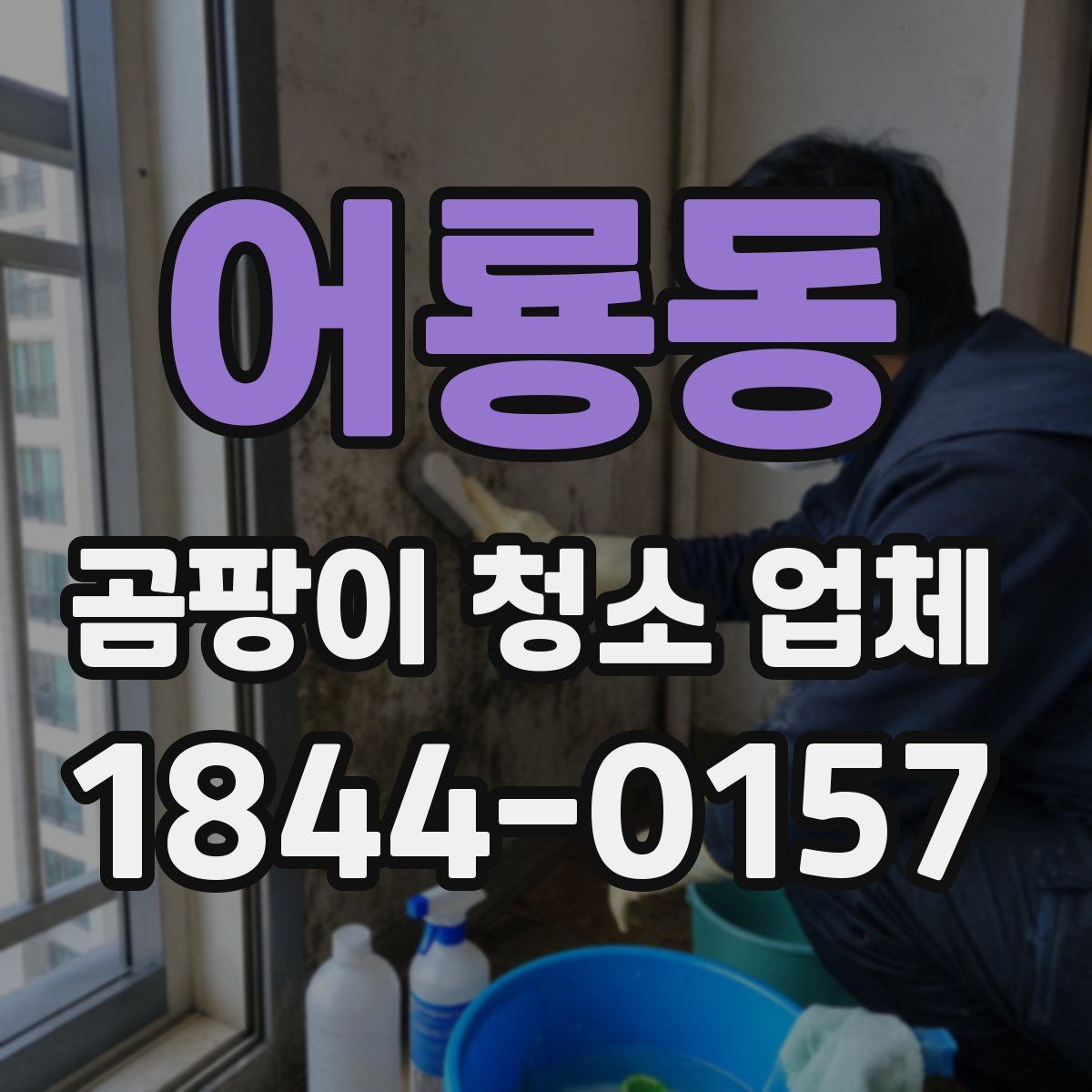 어룡동 곰팡이 청소 업체