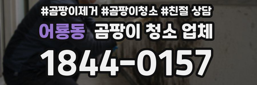어룡동 곰팡이 청소 업체