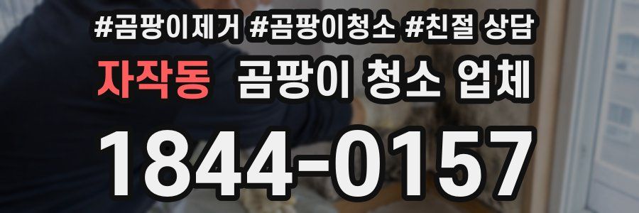 자작동 곰팡이 청소 업체