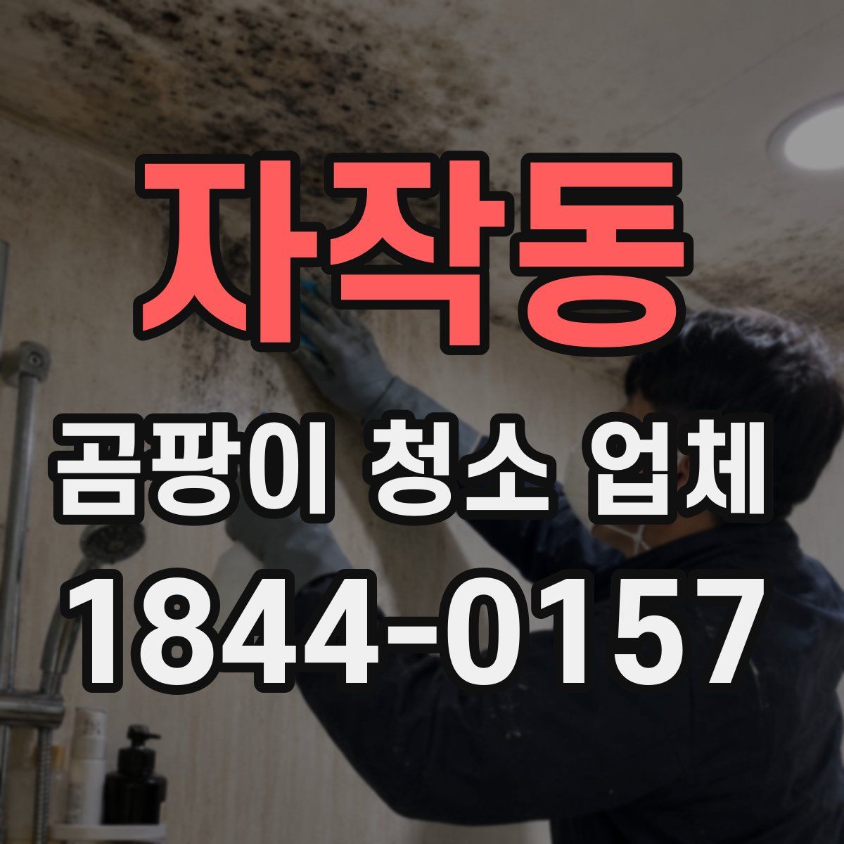 자작동 곰팡이 청소 업체