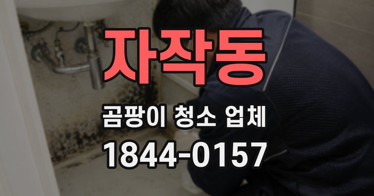 자작동 곰팡이 청소 업체