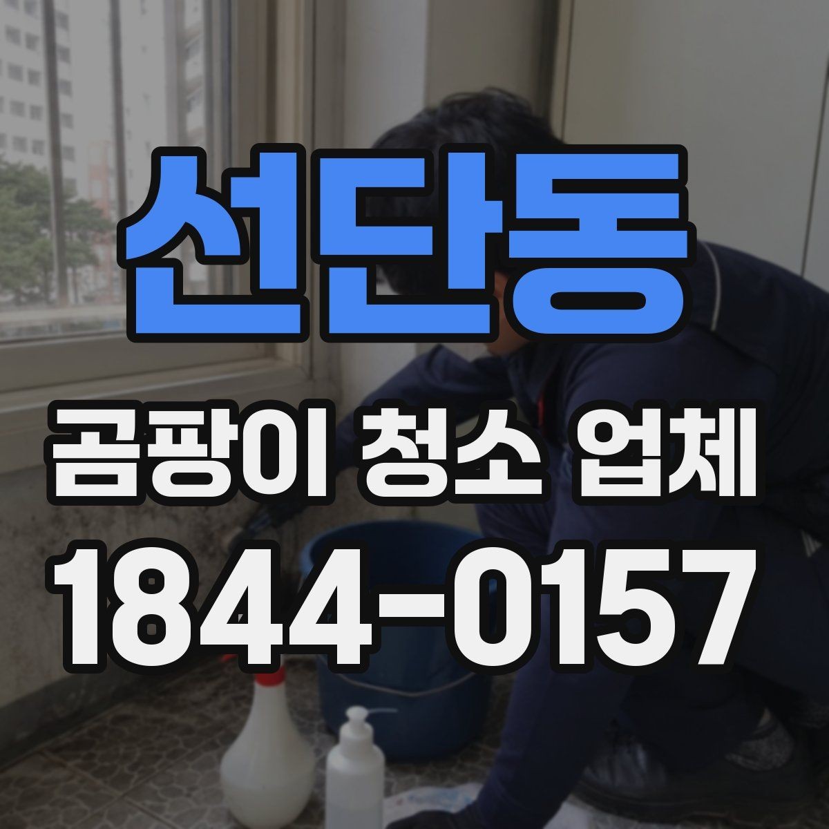 선단동 곰팡이 청소 업체 작업 범위가 달라지는 조건