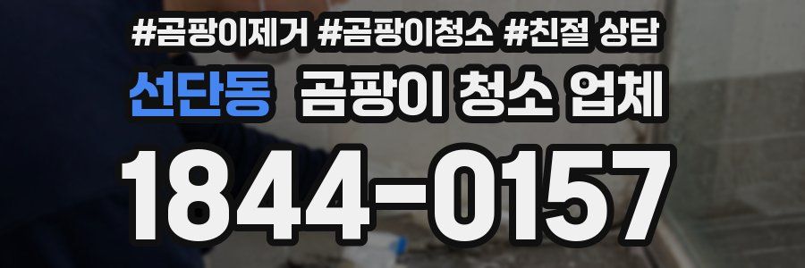 선단동 곰팡이 청소 업체
