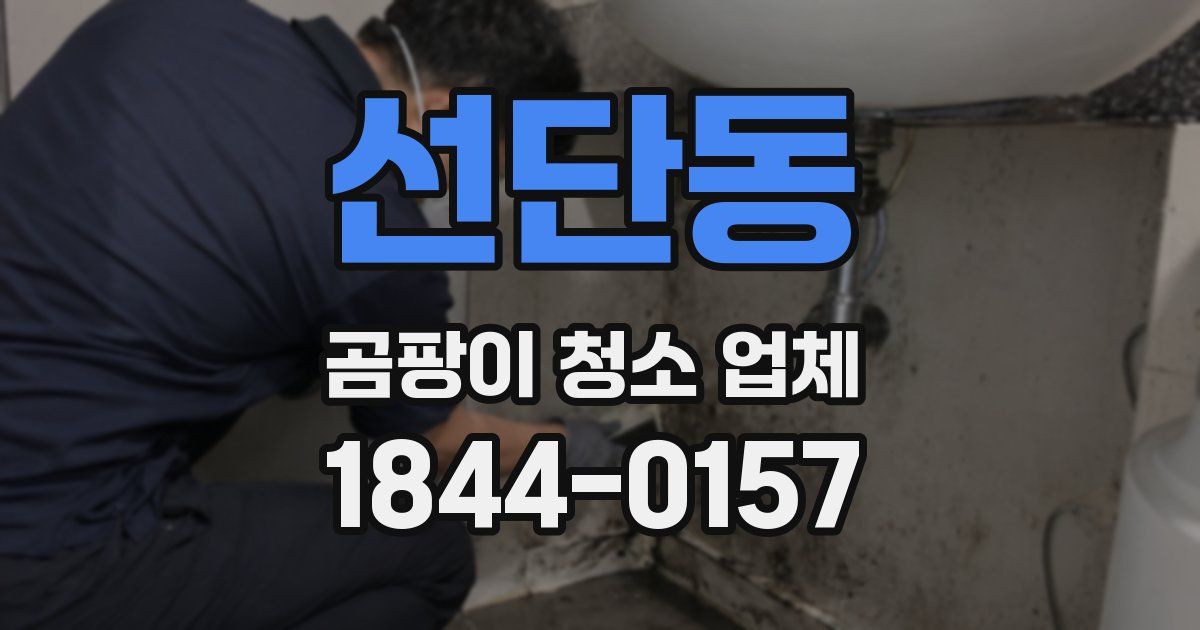 선단동 곰팡이 청소 업체