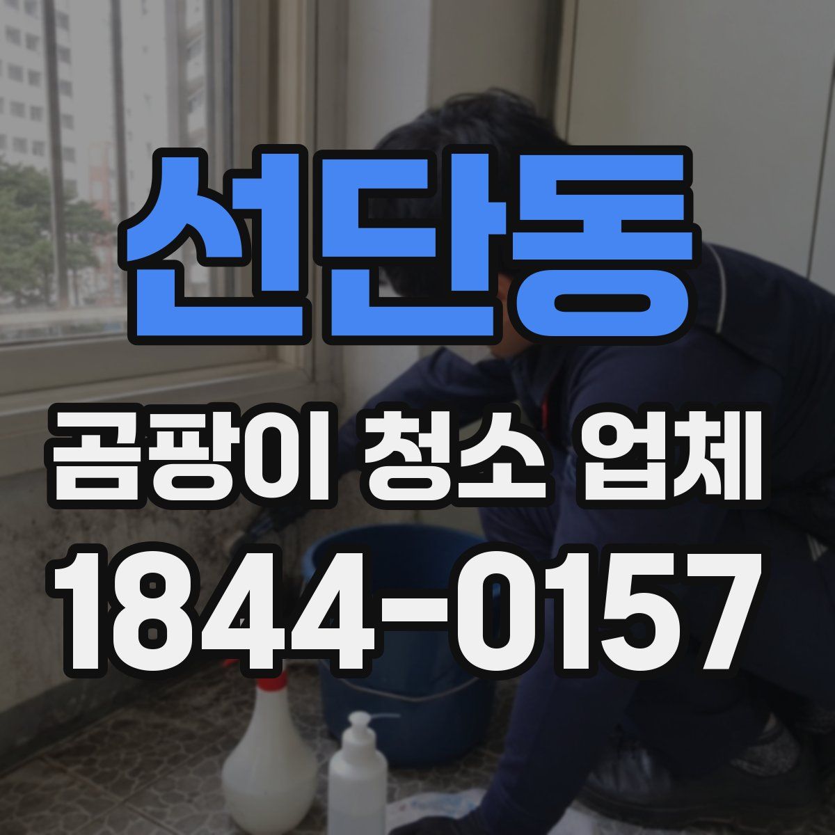 선단동 곰팡이 청소 업체
