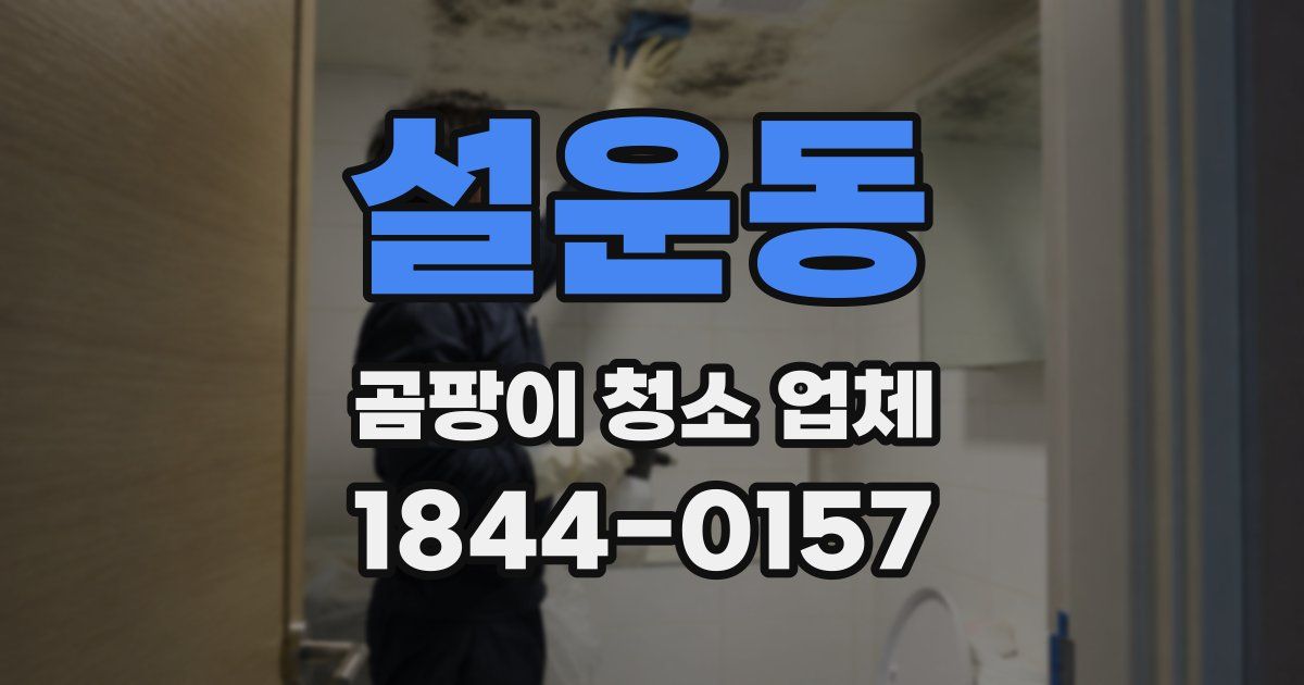 설운동 곰팡이 청소 업체