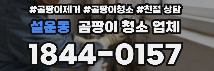 설운동 곰팡이 청소 업체