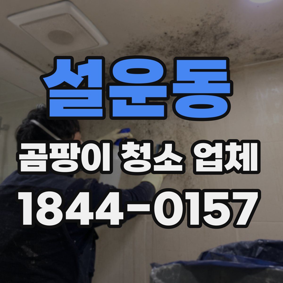 설운동 곰팡이 청소 업체