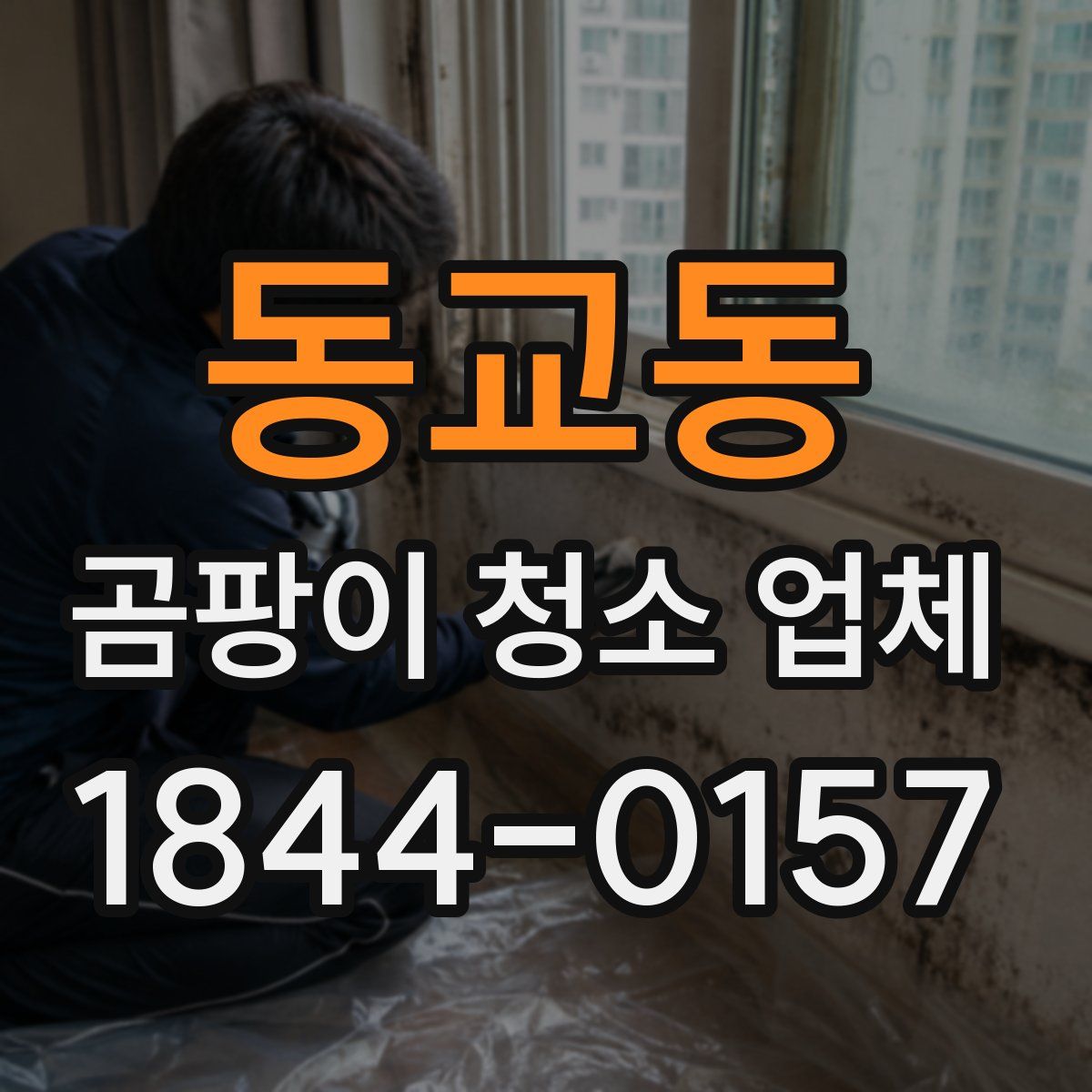 동교동 곰팡이 청소 업체