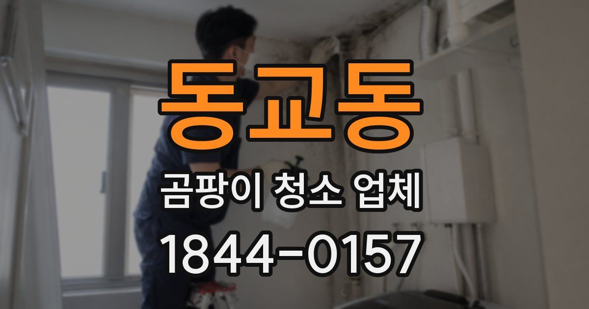 동교동 곰팡이 청소 업체