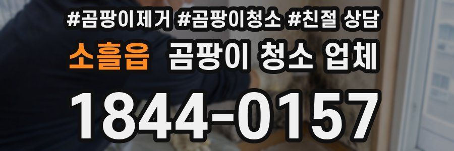 소흘읍 곰팡이 청소 업체