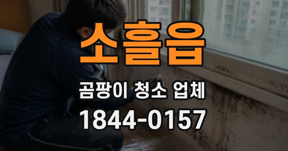 소흘읍 곰팡이 청소 업체
