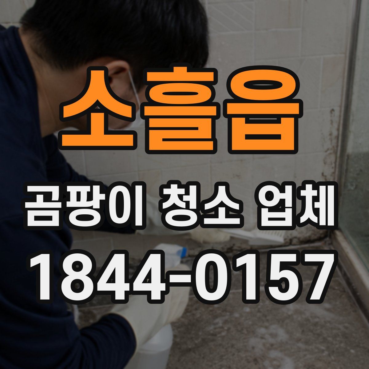 소흘읍 곰팡이 청소 업체