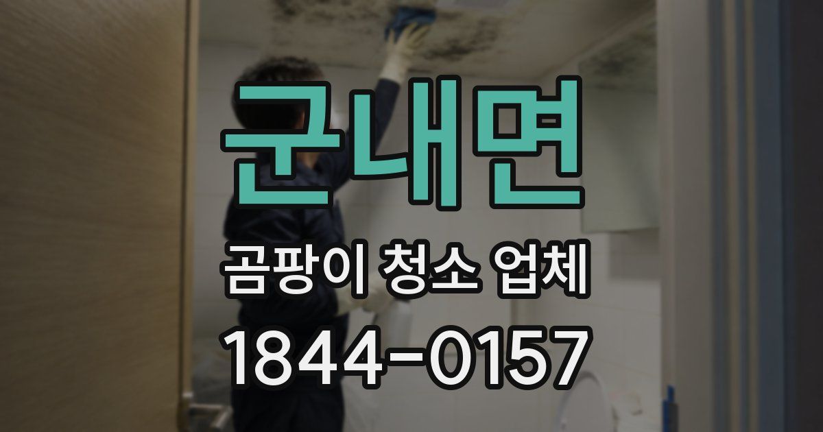 군내면 곰팡이 청소 업체