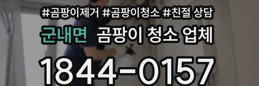 군내면 곰팡이 청소 업체