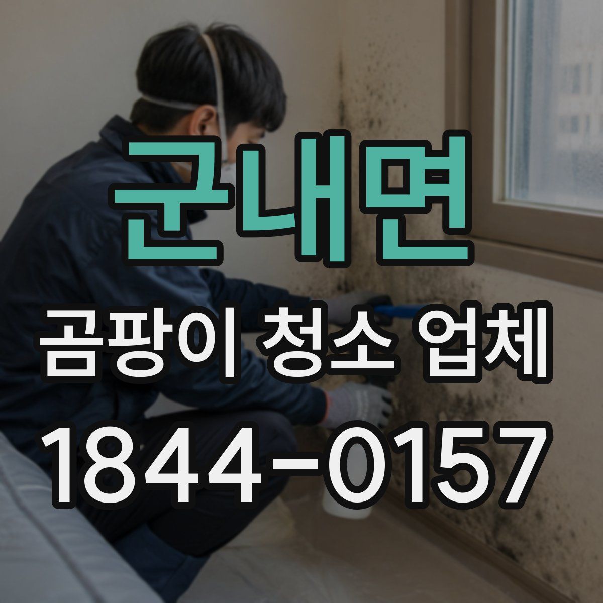 군내면 곰팡이 청소 업체